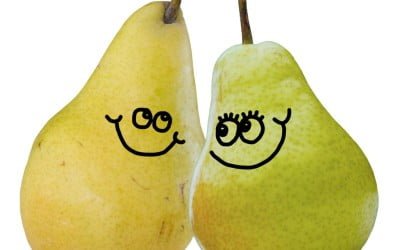 a pair of pears