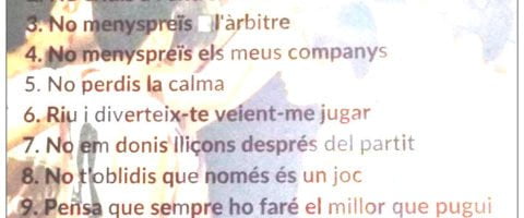 normes bàsquet